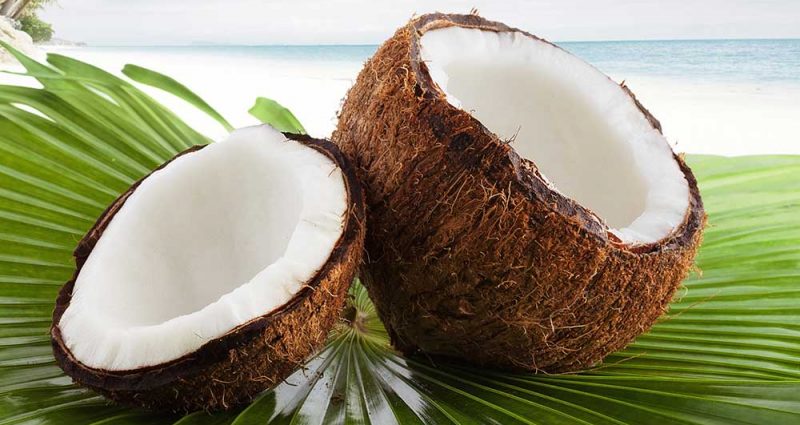 Coconuts