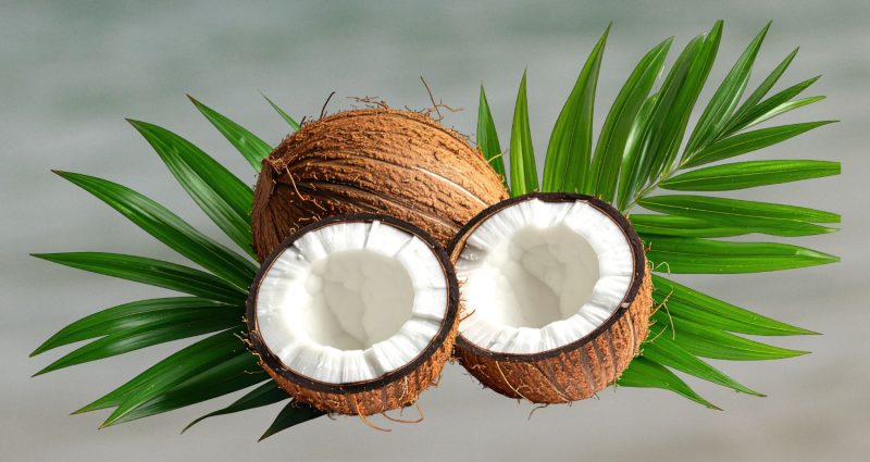 coconuts (1)